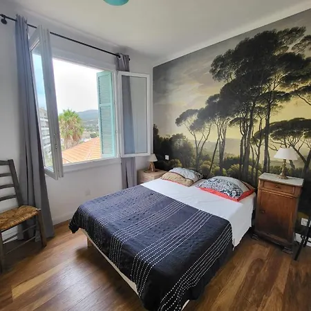 T3 Vue * 아작시오